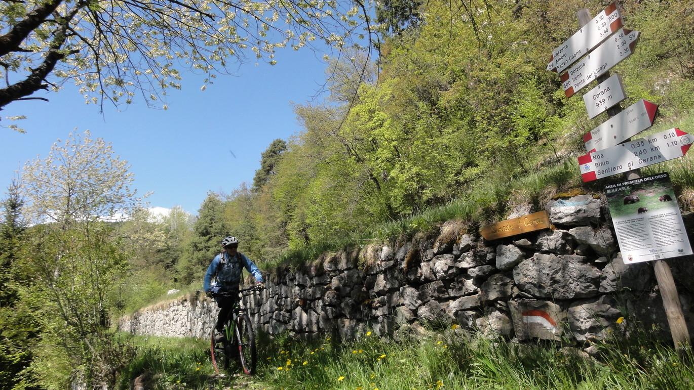 Tag 6: Auf dem Weg nach Ragoli in der Thermenregion Comano erreicht man diesen schönen Singletrail der Dolomiti di Brenta Bike-Westroute